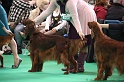 Crufts2011 756